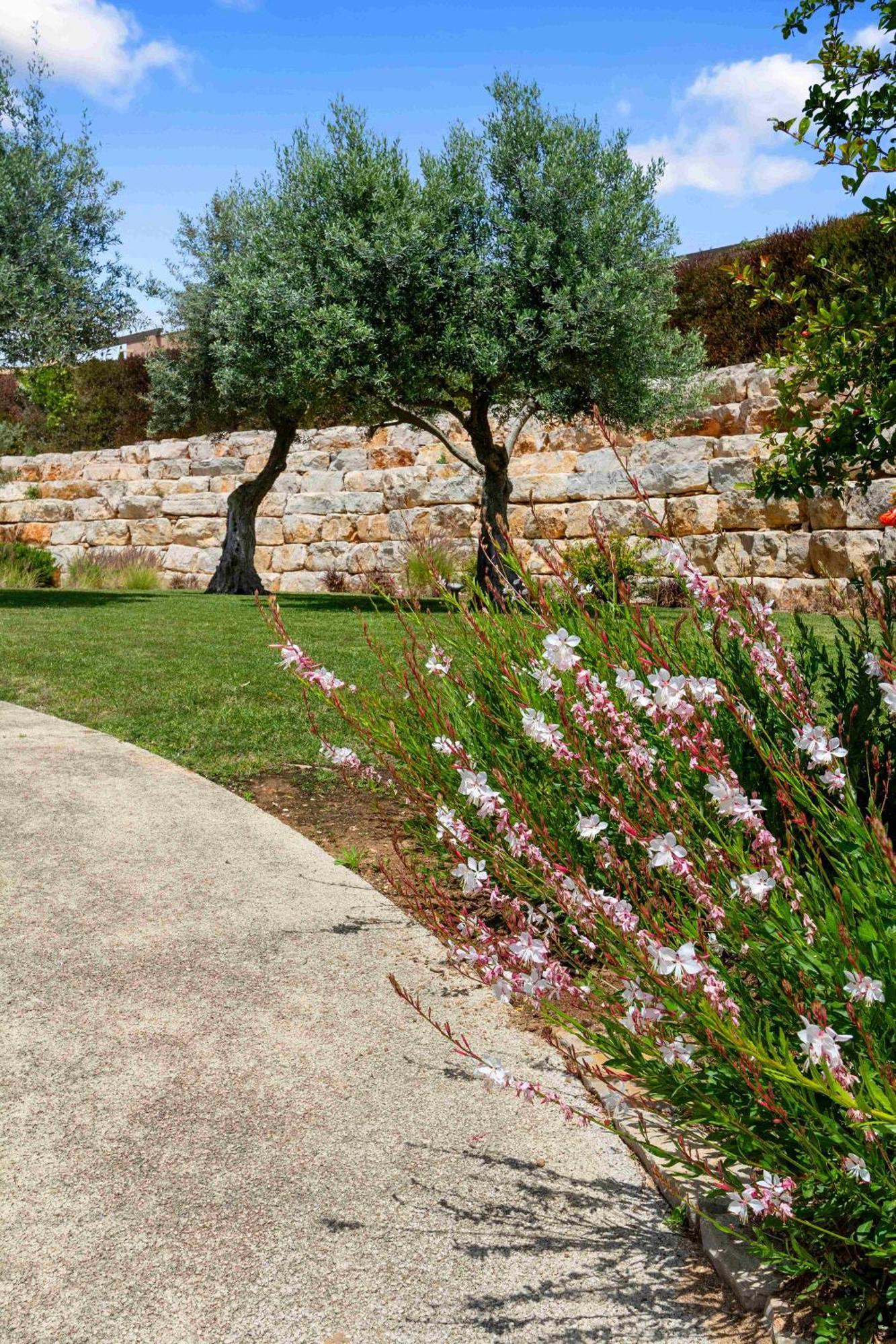 Vale De Milho Village كارفويرو الغرفة الصورة